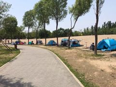 -东郊湿地公园
