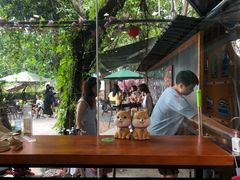 -柴犬高等学院·狗咖·柴犬售卖·宠物训练