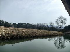 -西溪国家湿地公园