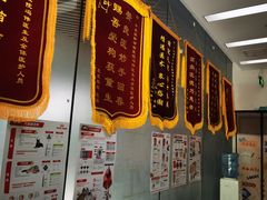 -中农国际动物医院24小时·猫科·骨科·急重症中心