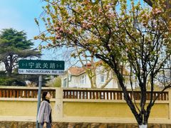 -青岛海滨风景区