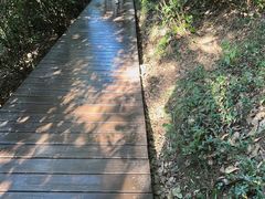 -上海佘山国家森林公园西佘山园