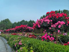 -郑州植物园