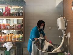 -PETKIT小佩宠物(古北店)