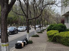 -山东艺术学院(长清校区)