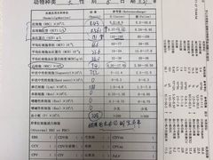 -全心全意连锁动物医院·微创中心·内科急重症·心脏专科(丰管路店)