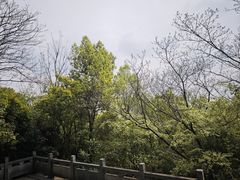 -杭州半山国家森林公园