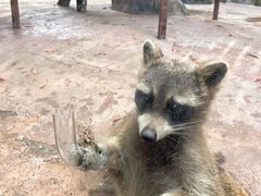 -杭州野生动物世界