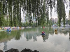 -团结湖公园
