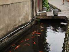 -前童古镇