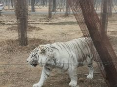 -秦皇岛野生动物园