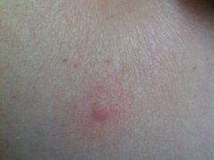 -屋顶顶城市·江景酒店-客房部