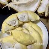 520开出报恩榴莲……