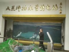 -江南天池