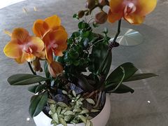 -聚福宝合苑食府(南头镇店)