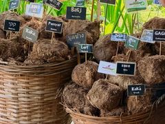 -大象粑粑造纸公园