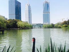 -上海浦东华美达大酒店