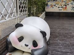 -轩客会(熊猫书店)