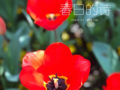 -静安雕塑公园