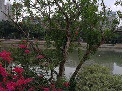 -光明港公园