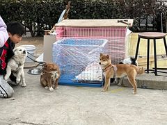 -松盛糕团店(红旗桥店)