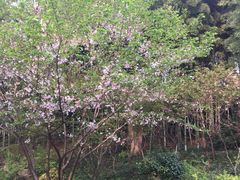 -上海市保健医疗中心(华东疗养院)