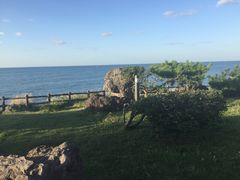 -龙头岩(Dragon Head Rock)