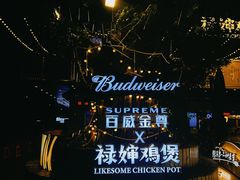 -禄婶鸡煲·打边炉