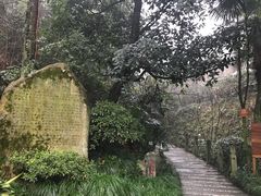-十八棵（老龙井）御茶园(老龙井店)