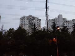 -傣妹火锅(四川北路店)