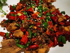 -庆合府重庆大排档(紫都城店)