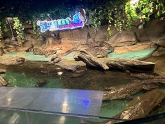 -重庆欢乐海底世界
