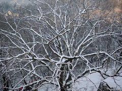 -终南山南五台景区