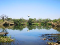 -西溪国家湿地公园