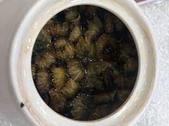 菊普茶-龙的酒楼·手工早茶·顺德菜(近良路店)