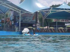 -杭州浪浪浪水公园