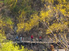 -九如山休闲旅游度假区