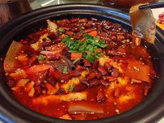 -大鸭梨烤鸭(望京店)