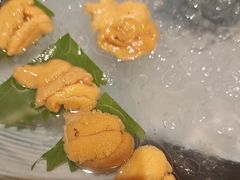 -月龍吟(朝龙汇店)