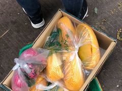 -三亚新鸿港水果一级批发市场
