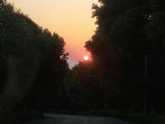 -铁山坪森林公园