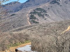 -杭州半山国家森林公园