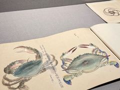 -东京国立博物馆