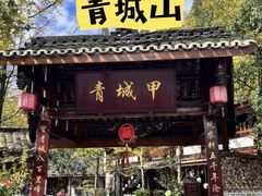 -青城甲(青城山店)