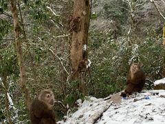 -九峰山