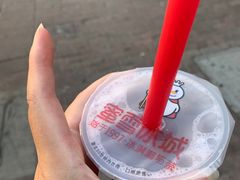 -蜜雪冰城(托乐嘉店)
