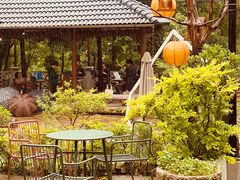 -Cafe In Little Forest