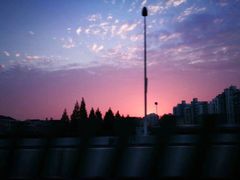 -天津津利华酒店