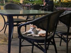 露天位-爱啤精酿·民谣酒馆(滨江店)