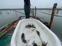 -阳澄湖半岛旅游度假区